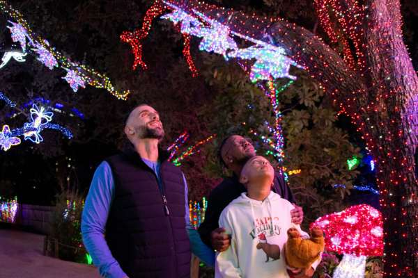 Ride the METRORail Red Line to see the Houston Zoo Lights